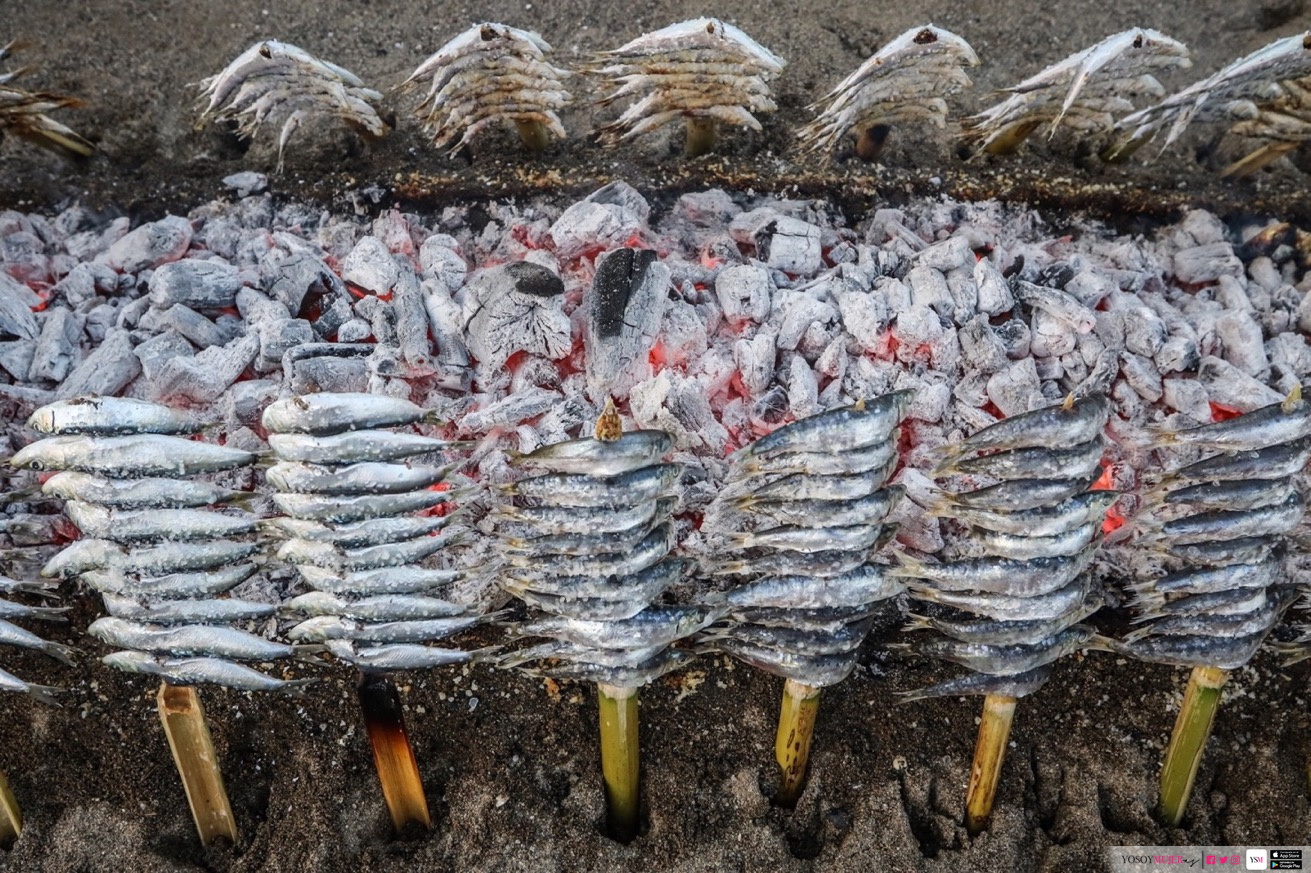 Concurso Espetos Costa del Sol