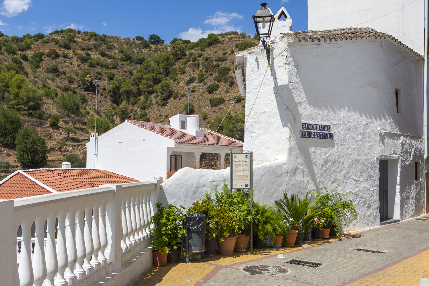 Cata del Mosto de Tolox