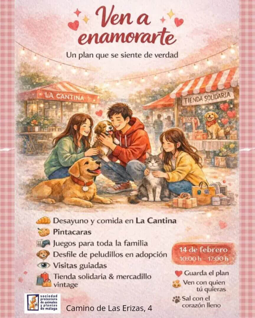 Evento San Valentín Protectora de Málaga
