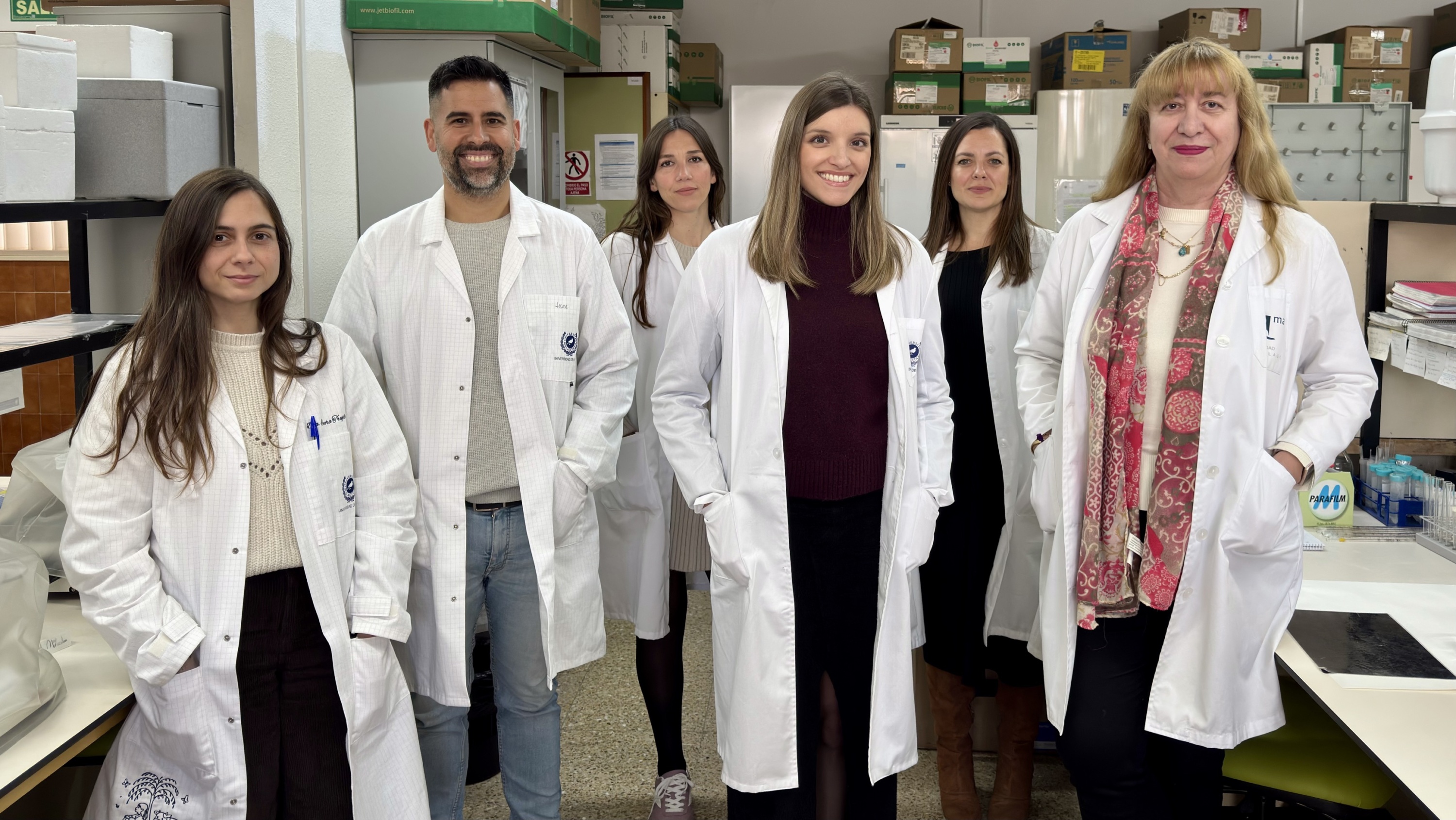 Investigadores de la UMA e IBIMA identifican astrocitos senescentes en cerebros con alzhéimer